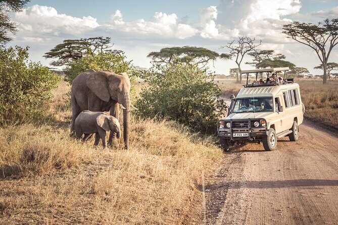 7 days safaris to see great migration - Lodges, camps, and what the included meals mean for value