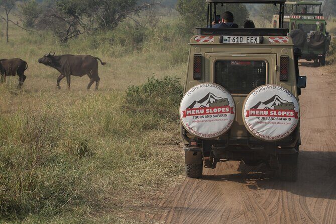 7 Days Serena Experience to Serengeti Great Migration - Ngorongoro Crater from the road: first sight, big wow factor