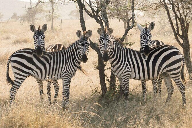 7 Days Tanganyika Wilderness Safari - Key Things I’d Book This For