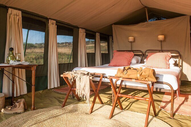 7 Days Tanzania Luxury Safaris - Ngorongoro crater day: where the animals feel close and busy
