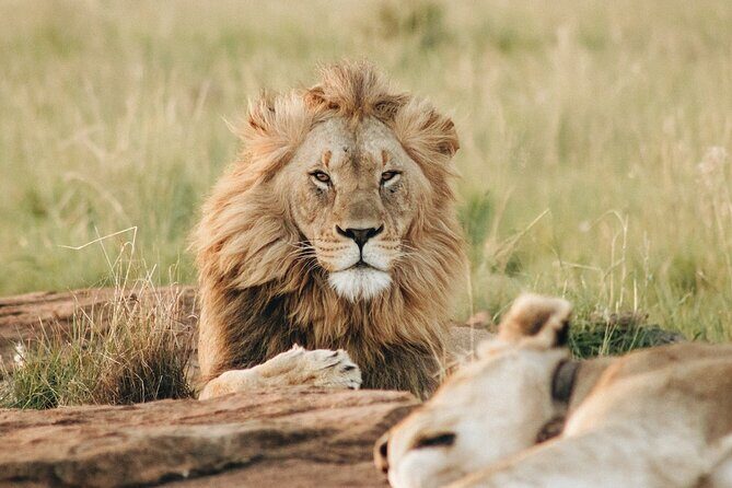 7 Days Tanzania Luxury Safaris - Mto wa Mbu: the culture stop that doesn’t feel like a speed bump