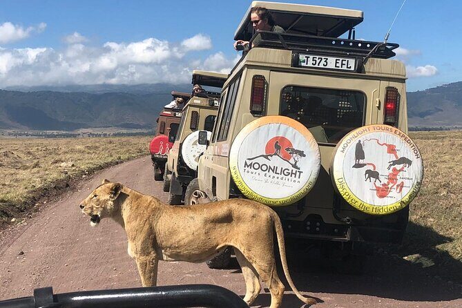 7Day Serengeti Migration (Ndutu), Crater, Hot Springs & City Tour - The Ndutu choice: why the Great Migration here feels close