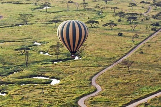 7Day Serengeti Migration (Ndutu), Crater, Hot Springs & City Tour - Arusha city tour: the cultural reset between parks