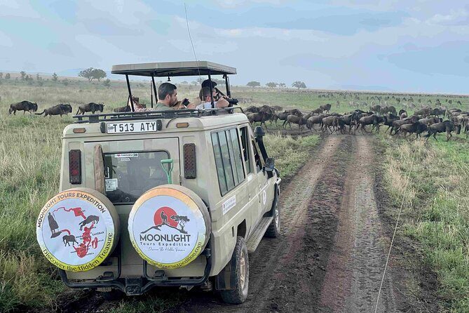 7Day Serengeti Migration (Ndutu), Crater, Hot Springs & City Tour - Day 1 in Arusha: a calm start before the safari tempo