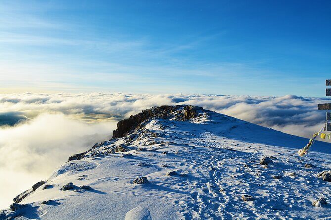 8 Day Climbing Kilimanjaro Via Lemosho Route - Day 3: crossing the Shira Plateau and reaching Moir Hut
