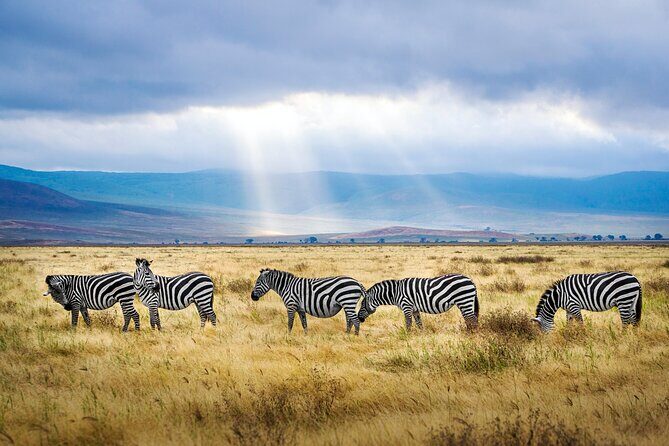 8-Day Essence of Tanzania Safari - Luxury - Price and logistics: what $6,785 per person really buys