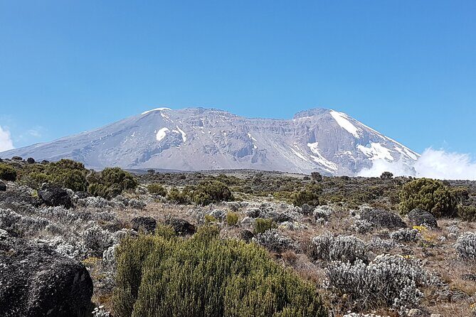 8 Day Kilimanjaro Lemosho Climb - Karanga to Summit Camp: Quiet Alpine Steps and the Mawenzi Peek