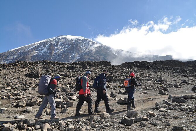 8 Day Kilimanjaro Lemosho Climb - Summit Night to Uhuru Peak: Stella Point, Loose Scree, and a Long Descent