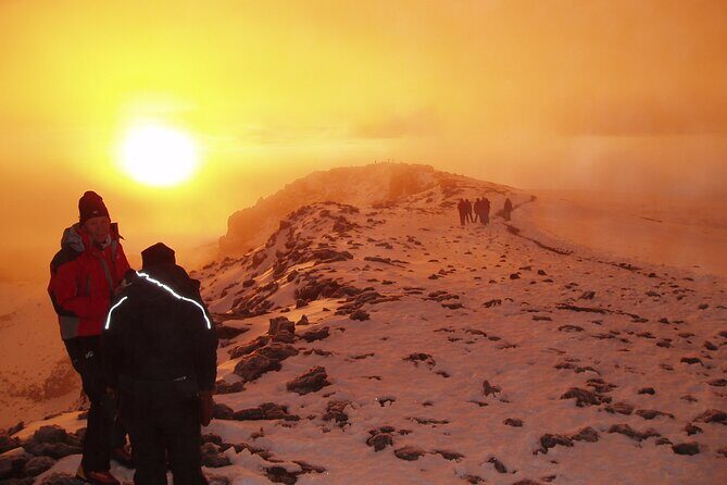 8 Day Kilimanjaro Lemosho Climb - Day 8 Down to Mweka Gate: Forest Descent and the End Feeling
