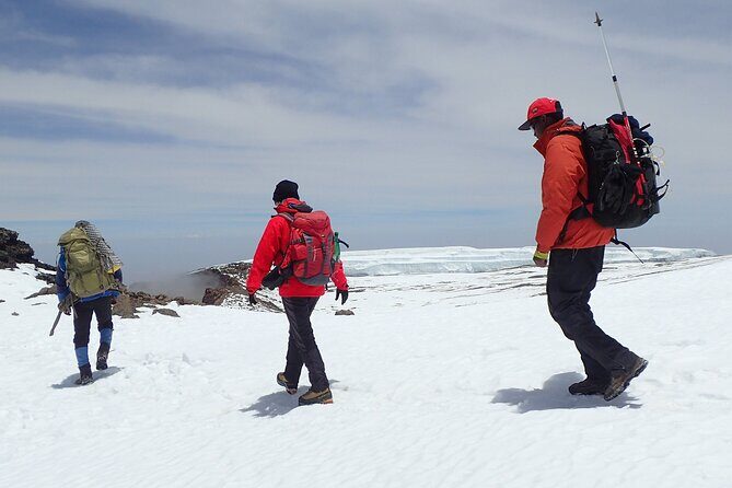 8 Day Kilimanjaro Private Climb via Lemosho Route - Shira 2 at 3,840m: moorland walking and Western Breach views