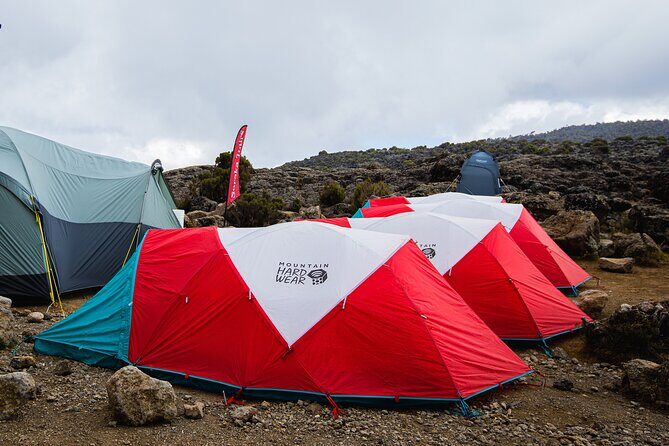 8 Day Kilimanjaro Trek via Lemosho Route - Quick hits