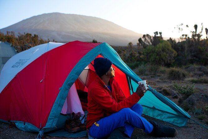 8 Day Kilimanjaro Trek via Lemosho Route - Day-by-Day: Lemosho Gate to the Shira Plateau (Days 2–4)
