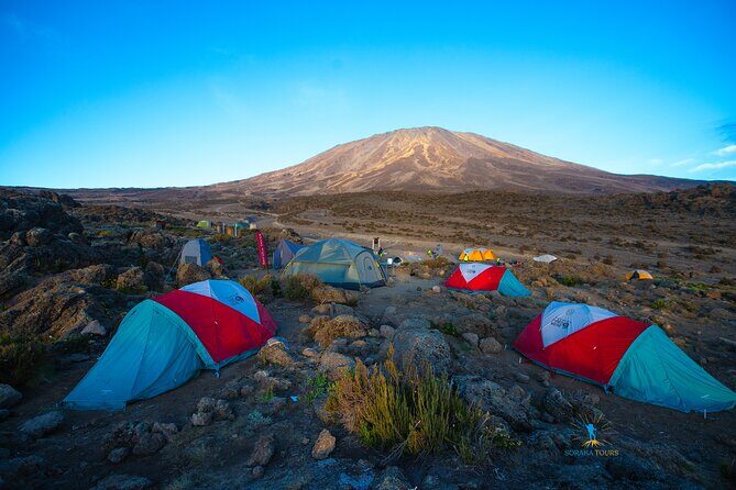 8 Day Kilimanjaro Trek via Lemosho Route - Who This Trek Suits Best (And Who Might Struggle)