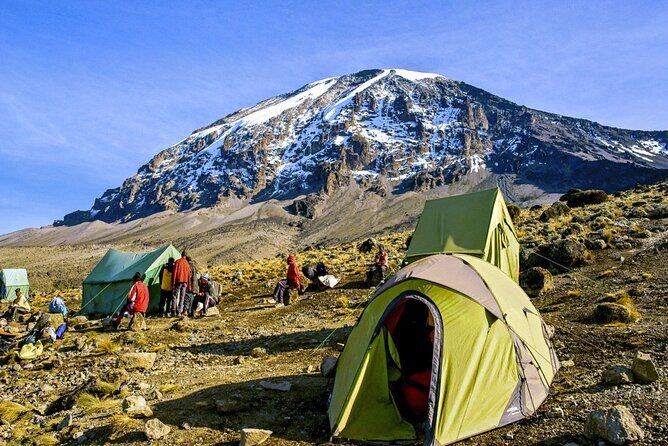 8 Day Mount Kilimanjaro Trekking Lemosho Route - Forest to Shira Ridge: Why Lemosho Gets You Higher, Slower (Days 1–3)