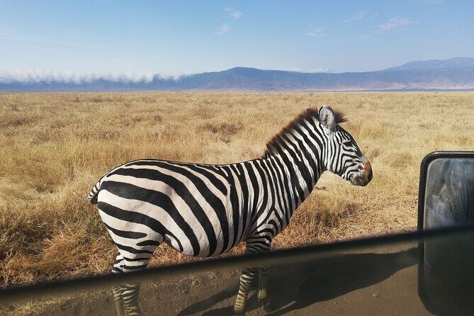 8-Day Private Guided Tanzania Safari with Pick Up - Moshi and Arusha Arrival: Reset Day 1 With a Real Plan