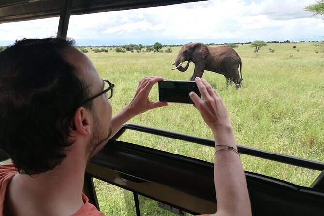 8-Day Private Guided Tanzania Safari with Pick Up - Accommodation, Meals, and the Comfort Stuff That Keeps the Safari Easy