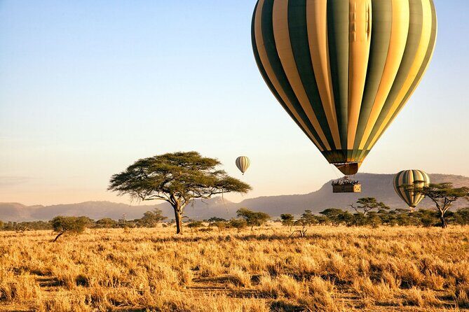 8 Day private wildebeest migration safari Serengeti Ngorongoro - Highlights at a glance