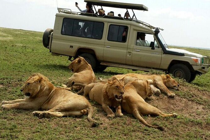 8 Day private wildebeest migration safari Serengeti Ngorongoro - Serengeti arrival and the logic of spending “real” time there
