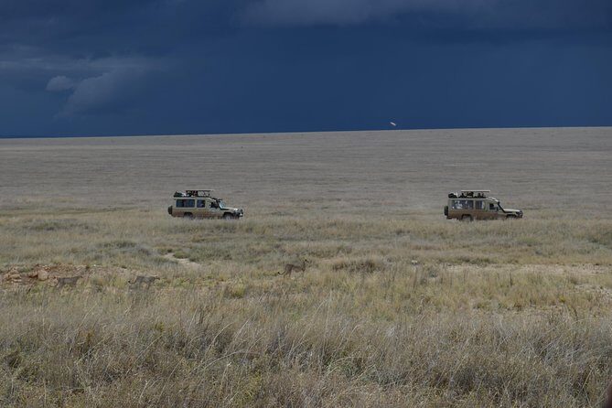 8 Day private wildebeest migration safari Serengeti Ngorongoro - Two full days of wildebeest migration tracking (and why it’s the whole point)