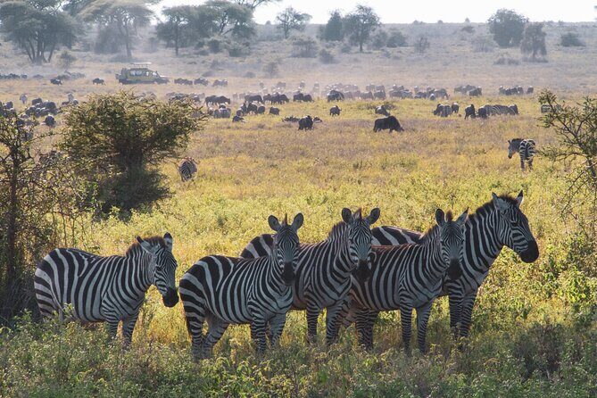 8 Day Safari The Best of Tanzania & Lake Eyasi - Serengeti Two-Day Rhythm: Big Sky, Big Animals, Optional Maasai Learning
