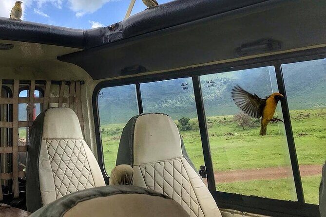 8-Day Tanzania Private Safari Tour with Airport Pickup - Moshi to the Northern Circuit: how the trip actually starts