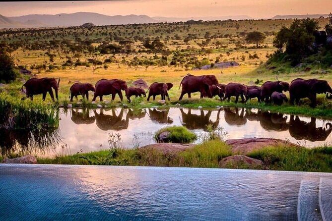 8-Day Tanzania Private Safari Tour with Airport Pickup - Serengeti plus Olduvai Gorge: the migration scale of thinking