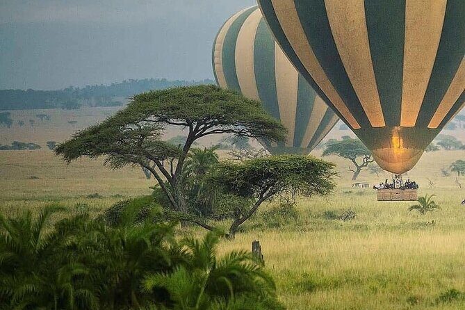 8-Day Tanzania Private Safari Tour with Airport Pickup - Ngorongoro Conservation Area: crater drama and Maasai coexisting