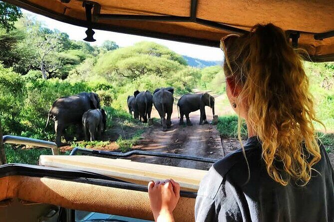8-Day Tanzania Private Safari Tour with Airport Pickup - Arusha night one: a practical buffer before wildlife time