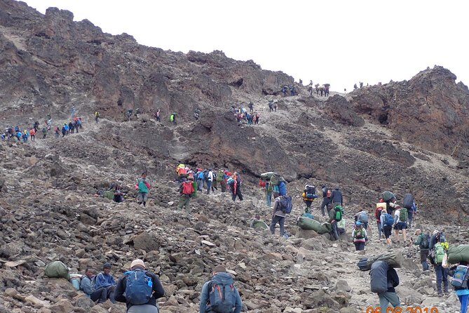 8 Days 7 Nights Kilimanjaro Lemosho Route - Day 7: Midnight summit push, Stella Point sunrise, then Uhuru Peak