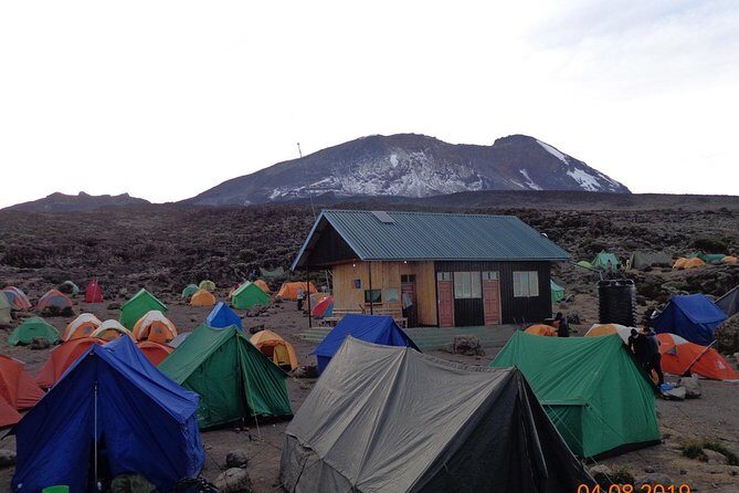 8 Days 7 Nights Kilimanjaro Lemosho Route - Day 1: Moshi to Londorossi Gate, then rain forest to camp