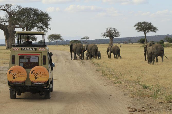 8 Days 7 Nights Private Lodge Safari - Key highlights worth noting