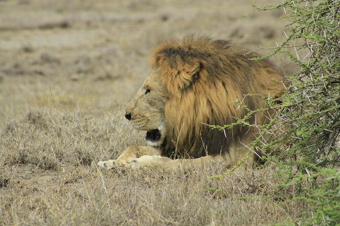 8 Days 7 Nights Private Lodge Safari - Day-by-day flow: how the parks are paced