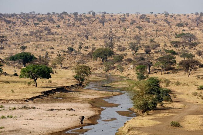 8 Days 7 Nights Tanzania Wildlife & Culture Lodge Safari - Serengeti watering holes and hippo-pools: how full days pay off