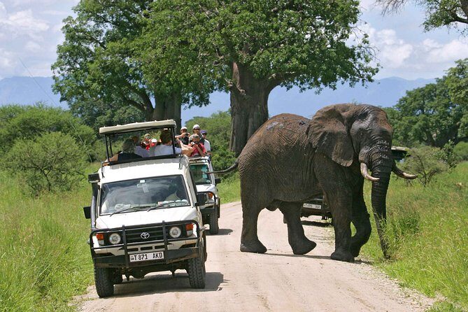 8 Days 7 Nights Tanzania Wildlife & Culture Lodge Safari - Ngorongoro rim to crater: black rhino chances and a whole lot of birdlife