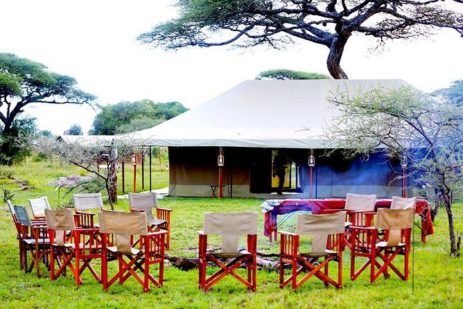 8 Days 7 Nights Tanzania Wildlife & Culture Lodge Safari - Lake Eyasi: birdlife, flamingos, and a quieter kind of wildlife day