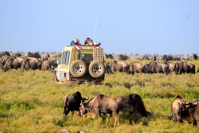 8 Days 7 Nights Tanzania Wildlife & Culture Lodge Safari - Lake Manyara finale: monkeys, giraffes, and hippos before the drive home