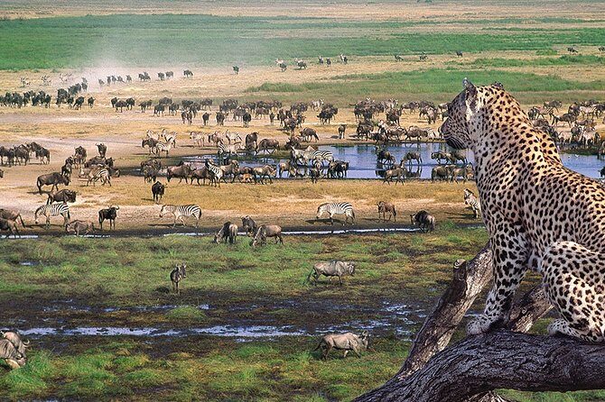 8 Days 7 Nights Tanzania Wildlife & Culture Lodge Safari - Tarangire National Park: river life and a concentration of classic species