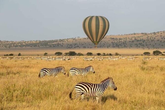 8 Days Follow the Wildebeest Migration River Crossing Safari - Tarangire National Park: quieter game drives and elephant/bird time