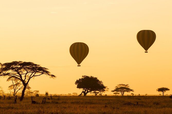 8 Days Green Season Offer - Luxury Serena Safari - Serena stays in four parks: the comfort strategy