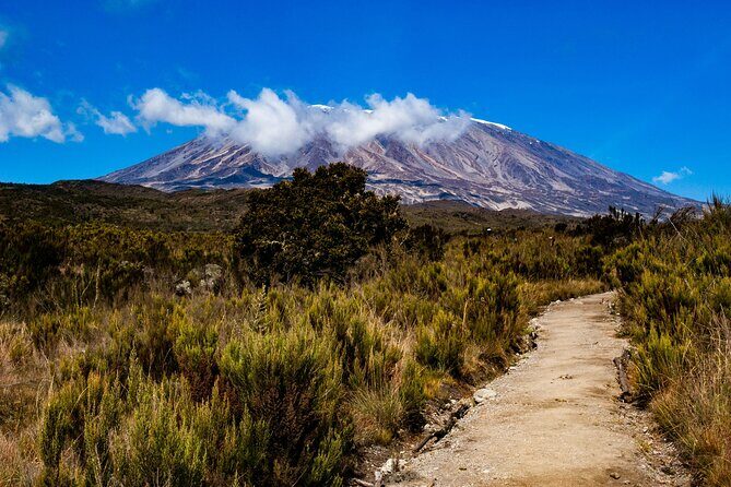 8 Days Guided Private Trekking in Mount Kilimanjaro - Why a Private 8-Day Kilimanjaro Trek From Moshi Works