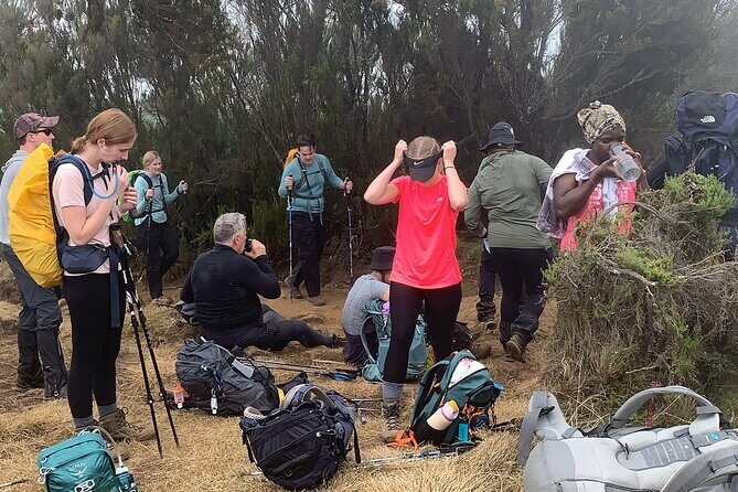8 Days Guided Private Trekking in Mount Kilimanjaro - Day 3: Shira 2 Camp and the Alpine Desert Feeling