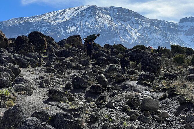 8 Days Kilimanjaro Climbing Lemosho Route - Getting from Moshi to the Gate: Orientation and Gear Checks