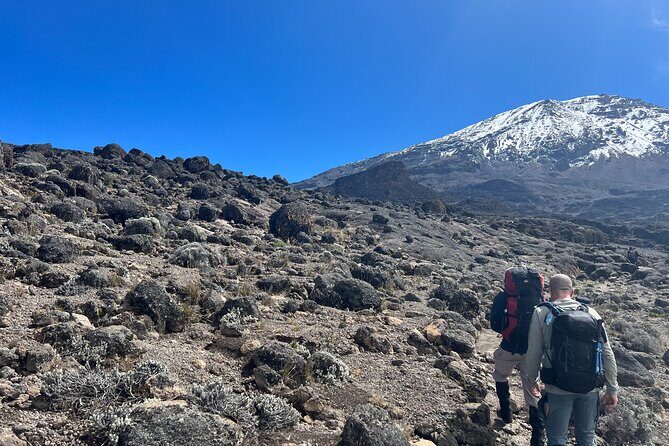 8 Days Kilimanjaro Climbing Lemosho Route - Should You Book This 8-Day Lemosho Trek with Furaha Adventures?