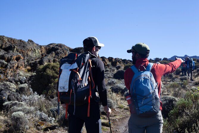 8 Days Kilimanjaro Climbing tour via the Lemosho Route - Day 4: Lava Tower (4,630m) to Barranco Camp (3,960m)