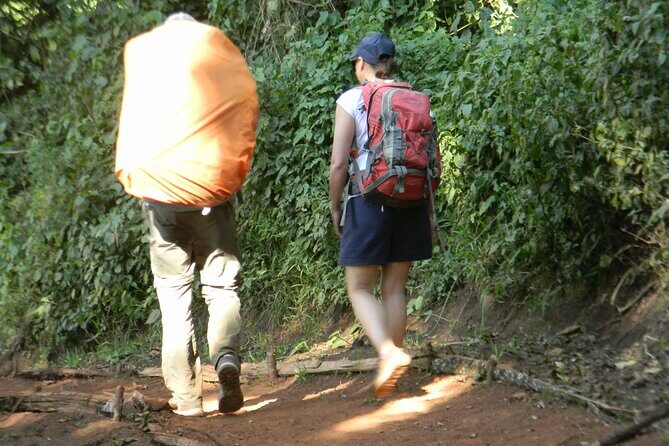 8 Days Kilimanjaro Climbing tour via the Lemosho Route - Day 5: Barranco Wall timing, then Karanga (and another acclimatization loop)