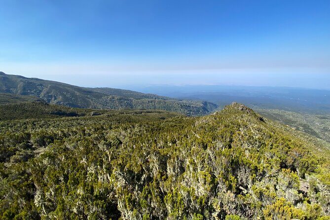 8 Days Lemosho Route - Day 3: Plateau Walking to Shira Camp 2