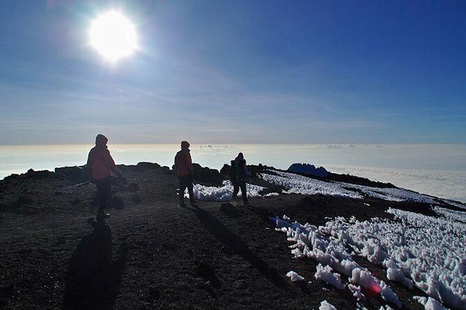 8 Days Lemosho Route Climbing - The Guide and Camp Crew: Why This Team Keeps Getting Mentioned