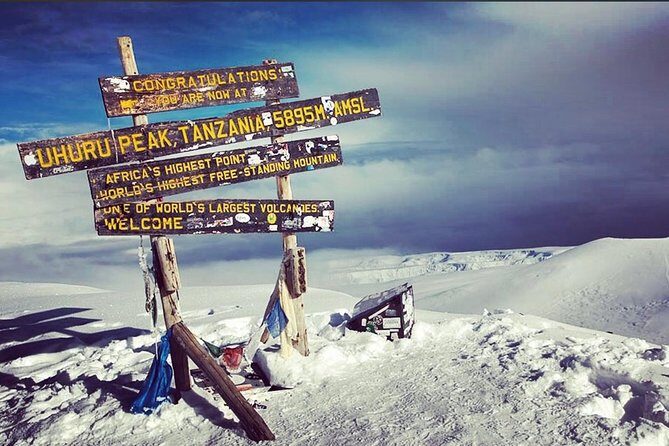 8 Days Lemosho Route Climbing - Price and Value: What $2,713.47 Really Buys You