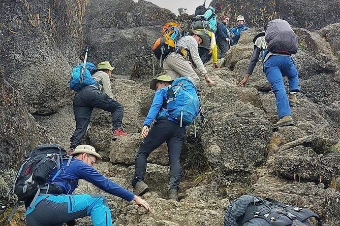 8 Days Lemosho Route Climbing - Who Should Book This 8-Day Lemosho Climb