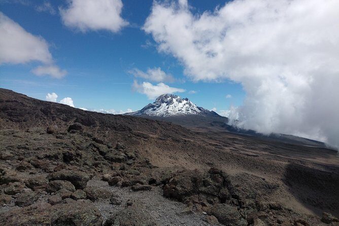 8 days Lemosho route Climbing Mt. Kilimanjaro - Day 4: Lava Tower (Shark’s Tooth), Arrow Glacier, and Barranco Hut